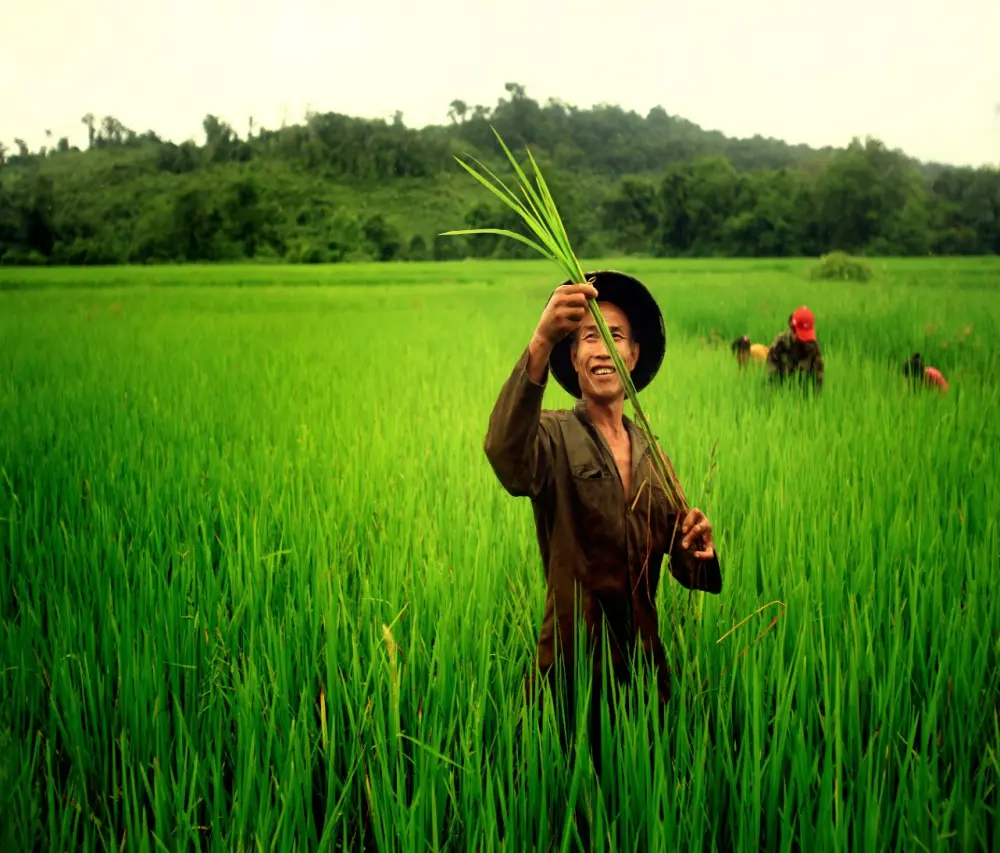 ຂະບວນການປະເມີນຂອງ ອົງການ ສປຊ ແລະ ຄວາມຄືບໜ້າຂອງ ສປປ ລາວ ເພື່ອຫຼຸດພົ້ນອອກຈາກສະຖານະພາບປະເທດດ້ອຍພັດທະນາ